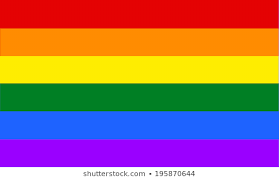 Image result for lgbt flags jpg